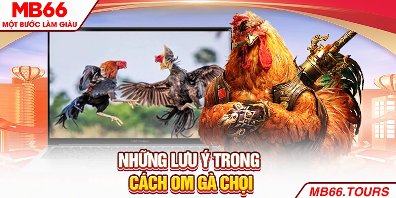 Đôi điều cần lưu ý trong cách om gà chọi