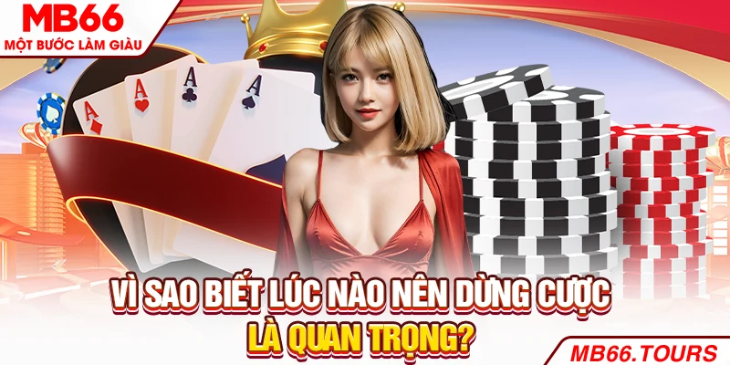 Vì sao biết lúc nào nên dừng cược là quan trọng?